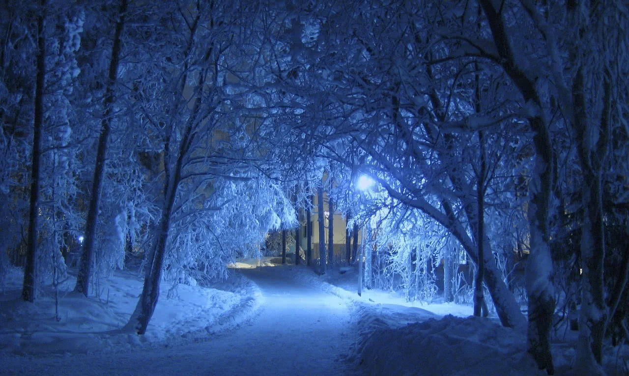 傍晚雪景唯美图片