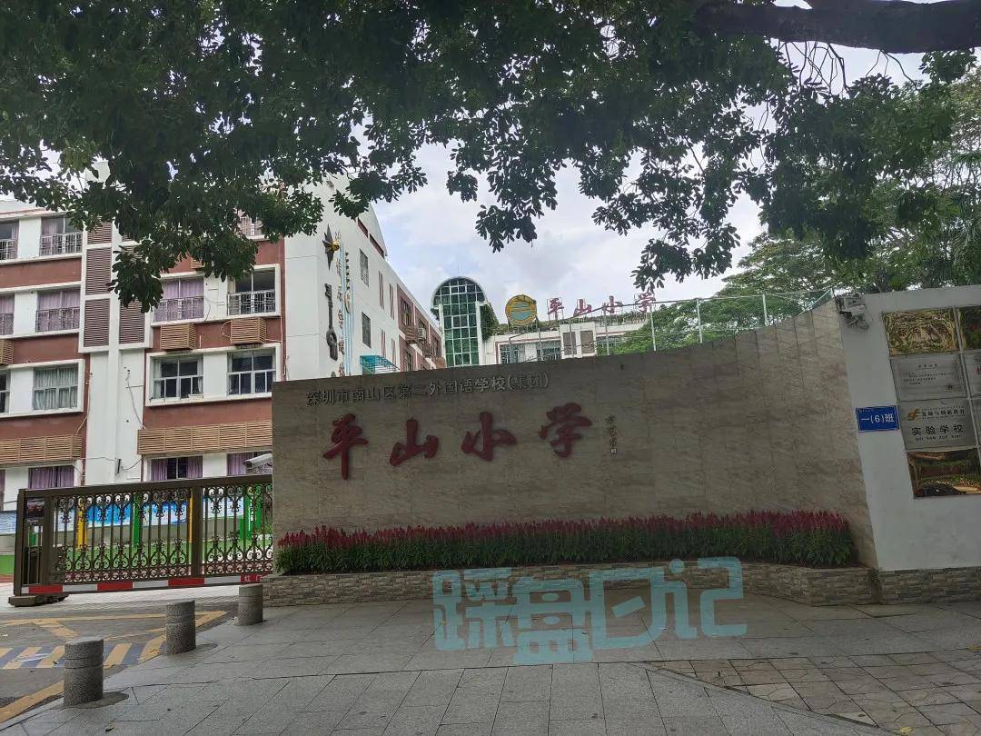 西丽平山小学图片