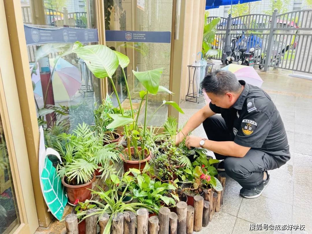 校园|和秋天一起焕新！柏林阳光幼儿园全新迎开学！