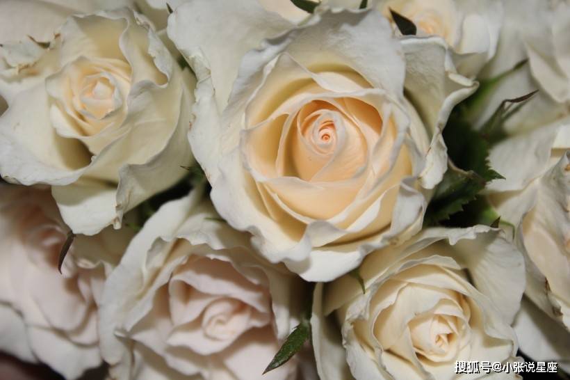 睡眠|總是健忘的三大生肖，做事拖泥帶水，看看是你嗎