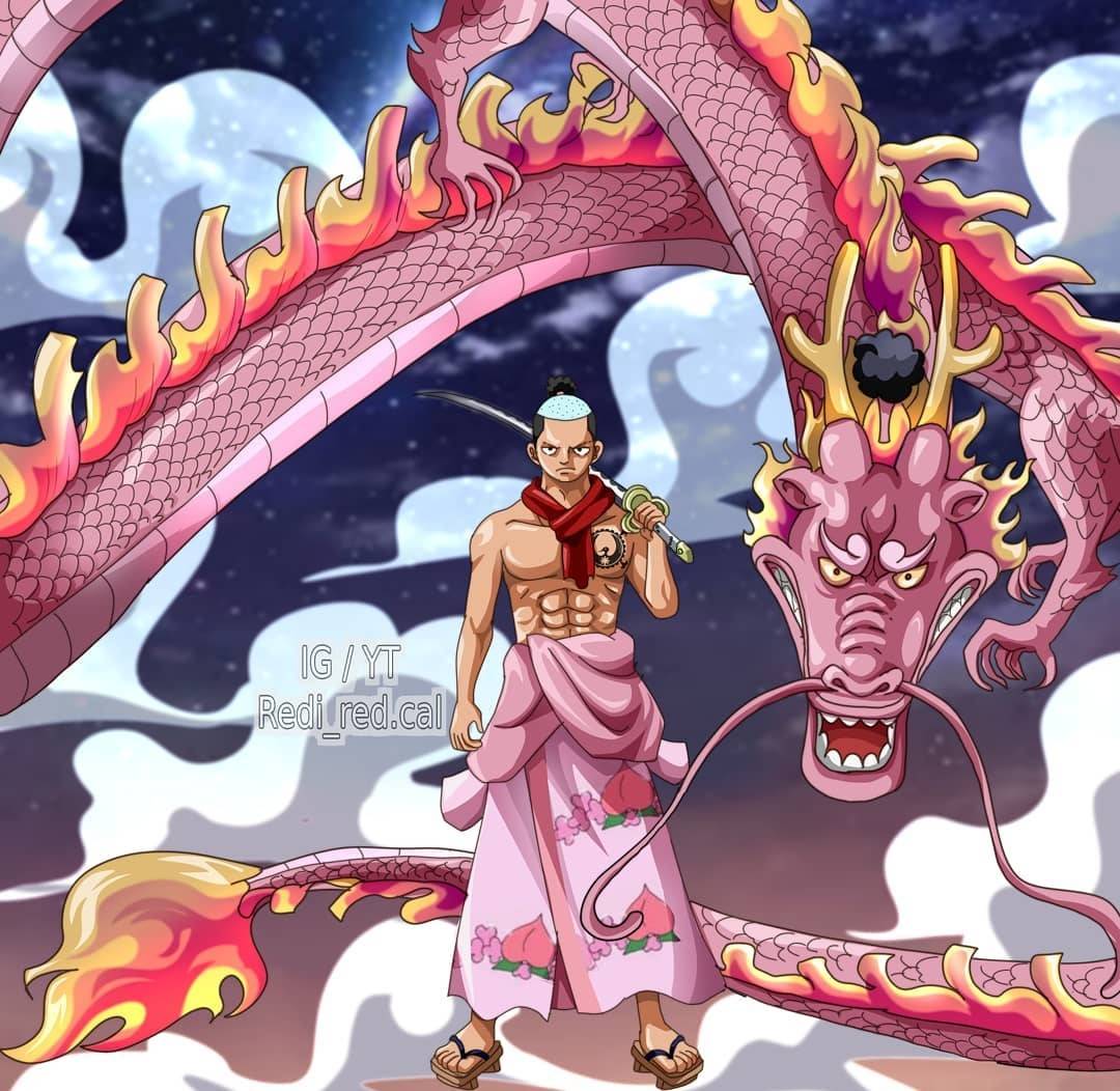 天王|海贼王：桃之助有可能成为天王吗，还是说他必须要死？