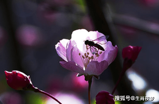 重温旧爱简谱_重温红色记忆手抄报(2)