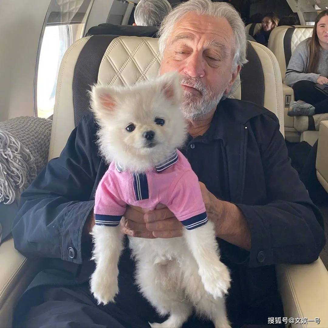 特拉维斯|45年过去了，他依旧是史上最牛逼的奥斯卡影帝！