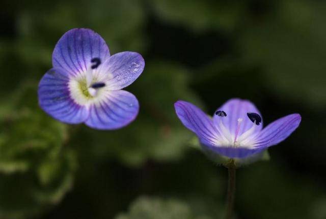 明天8月21日水瓶座 射手座和雙魚座將擁有前三個運勢 87旅遊望遠鏡