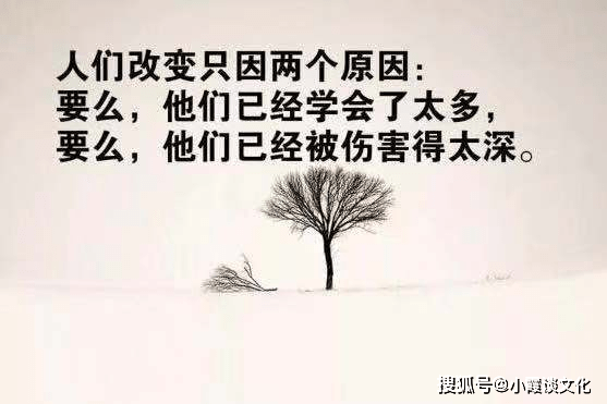 7b00adf759d94eaca9ee4bb8b8b36e8c.png