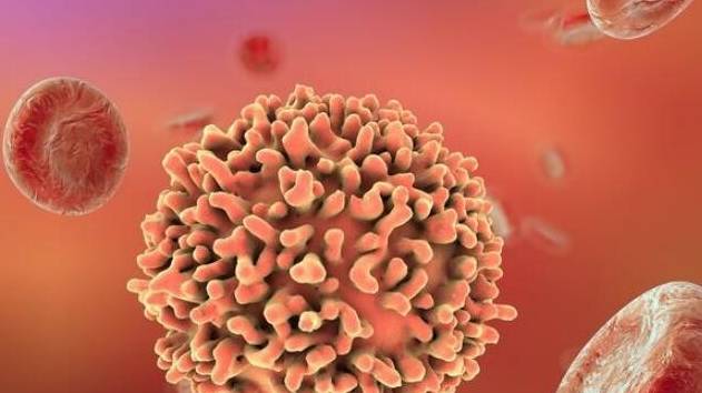 肾脏|肾病免疫力低，尿蛋白总反复？教你3个“秘诀”，强身护肾