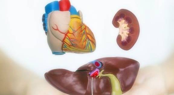 肝脏|早上属于养肝黄金期，坚持吃5类早饭，肝脏或许会“感激”你！