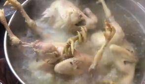 包子|这两种“独特”早餐,给你5万让你选一个吃一年,你怎么选?