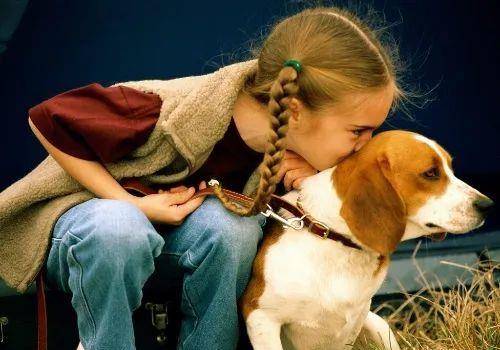 梦中萌宠与纯真,男人梦见送狗赠童的寓意解析 梦中萌宠与纯真,男人梦见送狗赠童的寓意解析