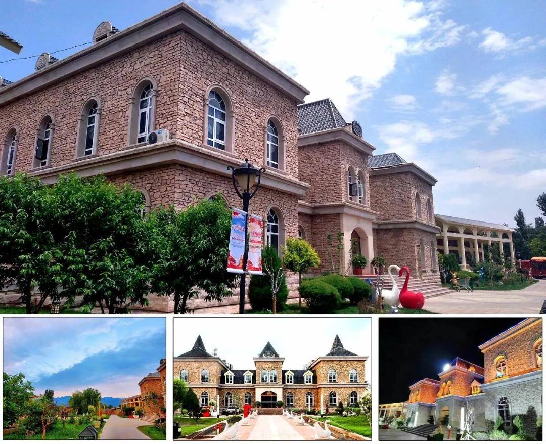 张裕摩|观万亩葡萄长廊,赏贺兰山下酒庄!