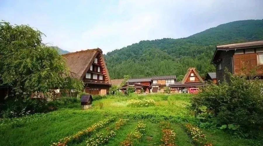 郑乃馨问细思极恐和司机的关系 看日本最美乡村如何依靠特色建筑实现乡村振兴 恩杰资讯网