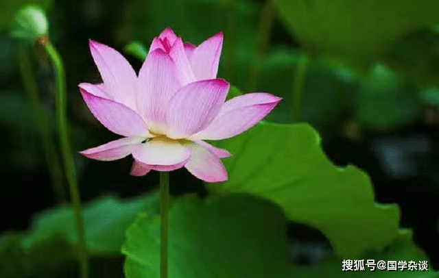 什么才是真正的善良和慈悲 f227ebdfa5d544ee907be16747f7f472.png
