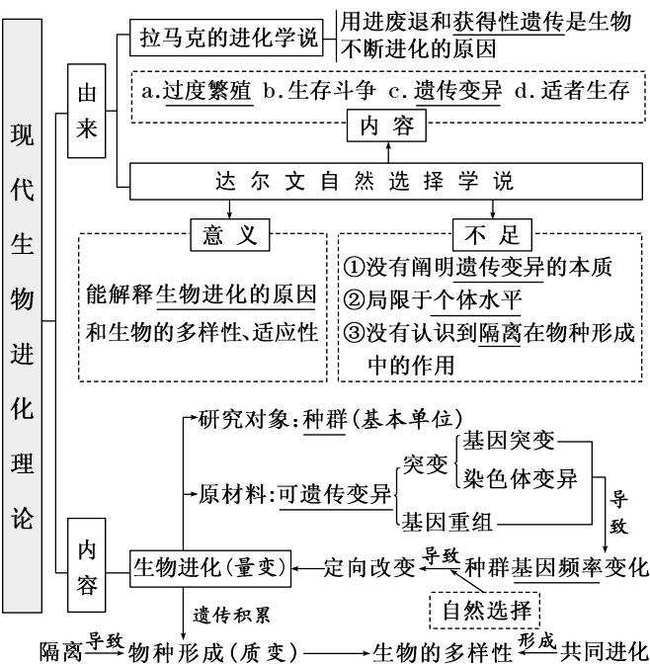 达尔文进化论思维导图图片