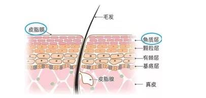 故事传记|伊若怡老师：请你用实力美出圈，靓眼时刻