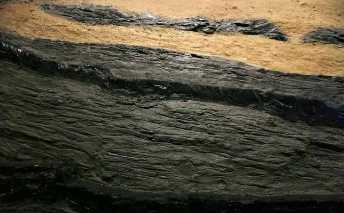 煤层真的是植物形成的?远古地球有这么多植物构成百米煤层吗?_木粉