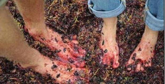 美食|你觉得脚踩的美食卫生吗?看看这些脚踩食物,肯定有你吃过的上榜