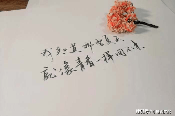 简谱刺心_儿歌简谱(2)