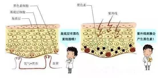 方法|疯狂尝试各种美白方法竟是做无用功？科学美白方法必不可少