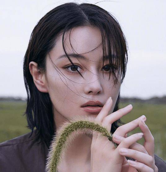 事情|?“洗衣机柯基”遭虐待,宋祖儿等3位明星发声,至今未找到施暴者