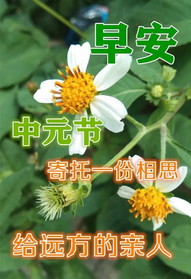 原创8月22日中元节早上好动态表情图片大全中元节早上好问候语句子