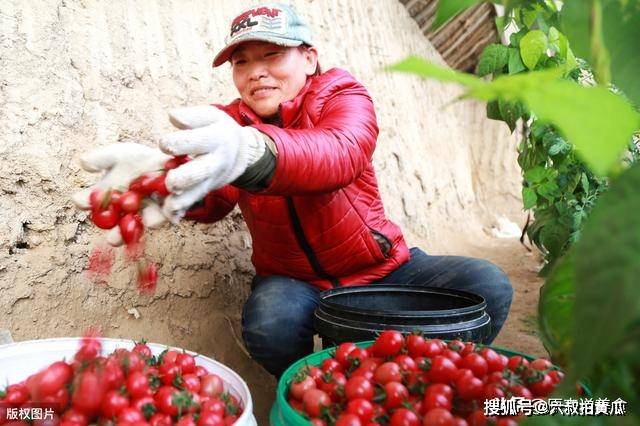 时节|立夏时节，这5种水果要常吃，多吃不长肉，美白又护肤