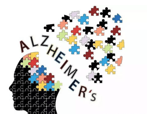 副作用|芝麻素——帮助缓解神经炎症