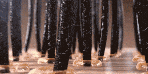 头皮|头发稀少怎么变浓密头发 脱发人专属护发经验