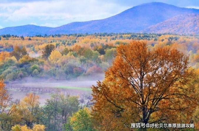 金色秋 4eca7c06f5cb4edd9257eca922363b96.jpeg