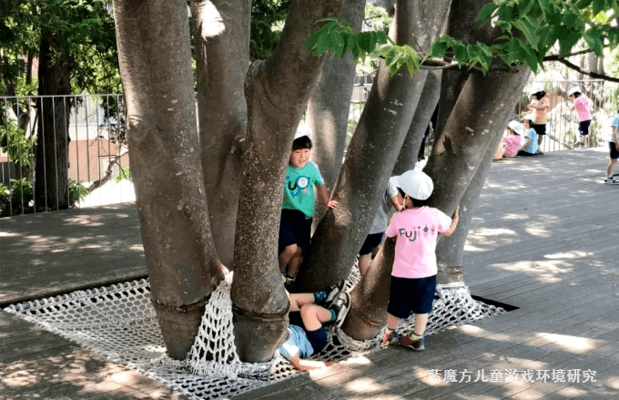 设计|一棵树看出幼儿园环境设计中的教育智慧