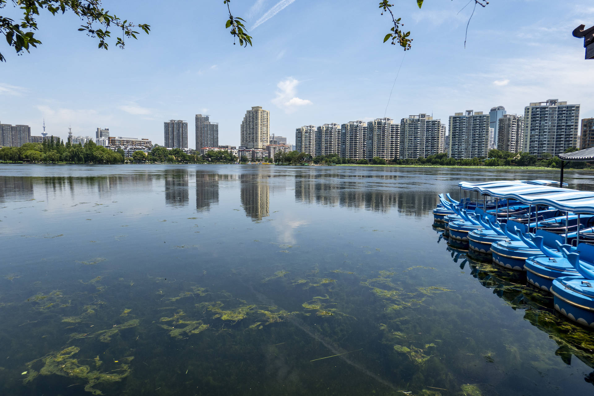 名胜|南京的“金陵第一名胜”不是夫子庙，而是徐达后裔的名园