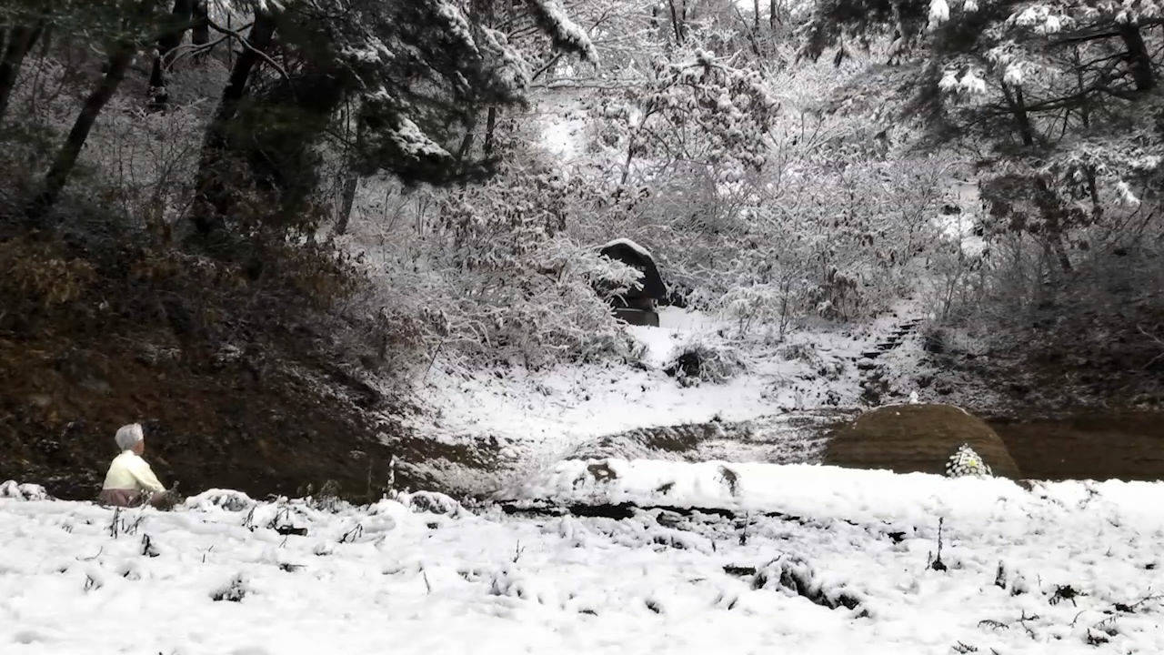 老人|泪目！韩国老夫妻结婚七十多年恩爱如初，好多细节令人感动！