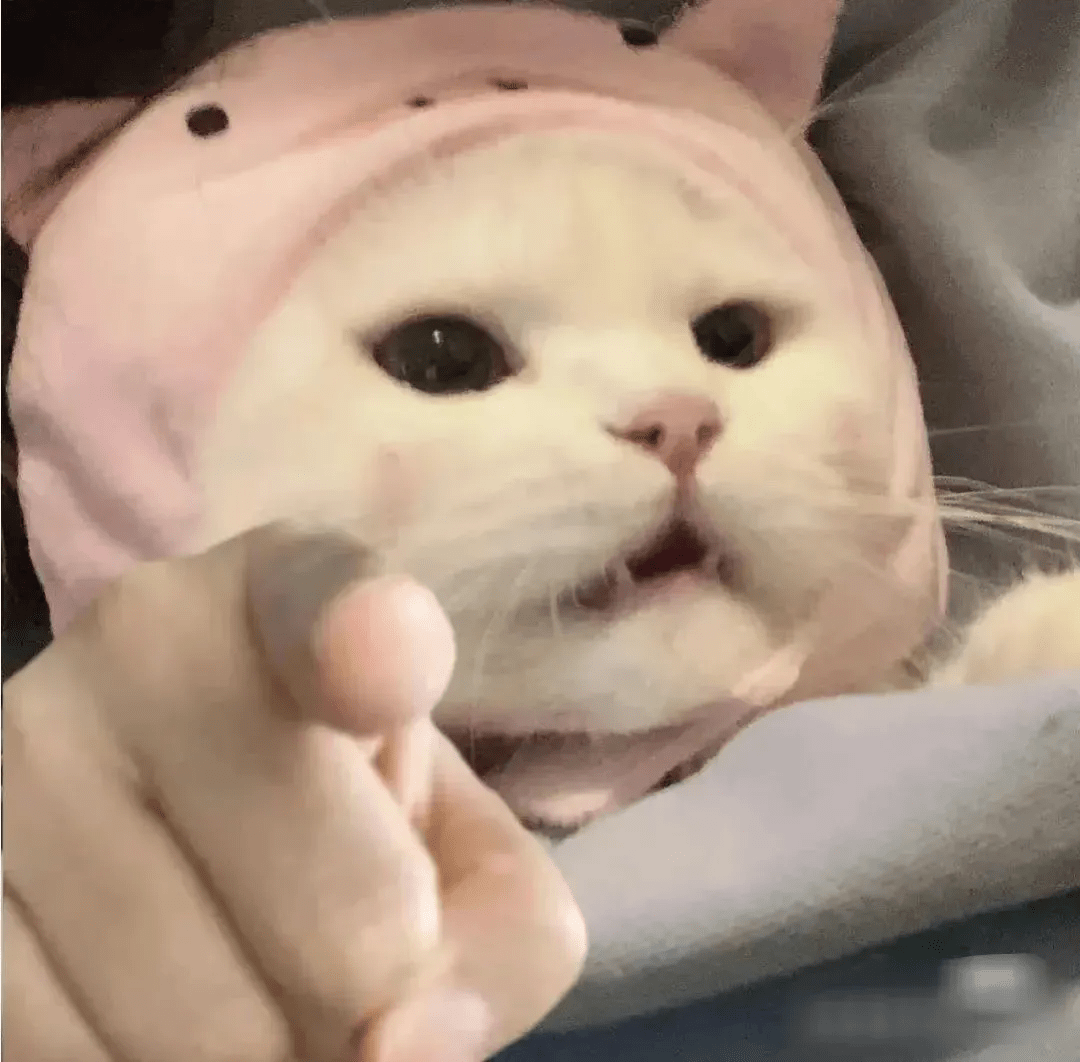 扣子|内娱男徳穿衣指南