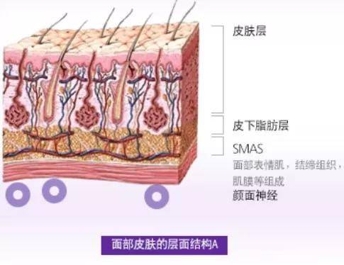 智商|眼霜、面霜、精华真的有区别吗？——揭秘“高明的智商税征收法”