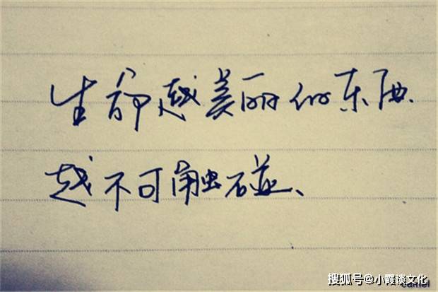 人生如棋简谱_人生如棋图片(5)