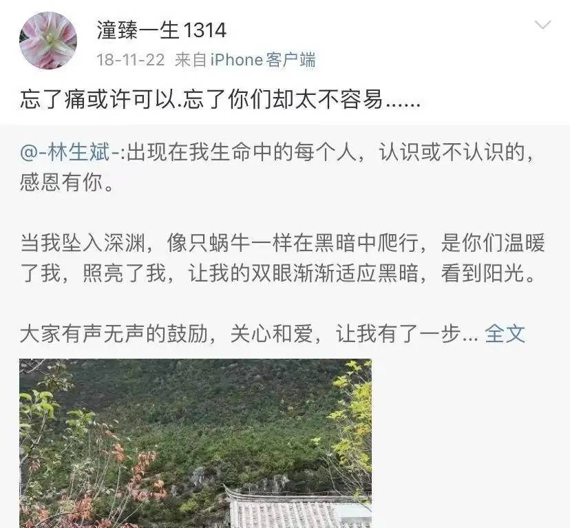 网友们就发现这位名叫"潼臻一生1314"的账号就是林生斌妹妹林云婷的