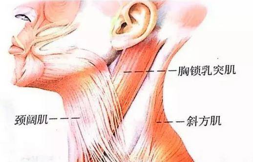 方法|40+面部松弛下垂严重怎么办？这样做让你轻松变年轻！