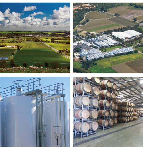 赫尔曼托姆路|雅达若酒庄