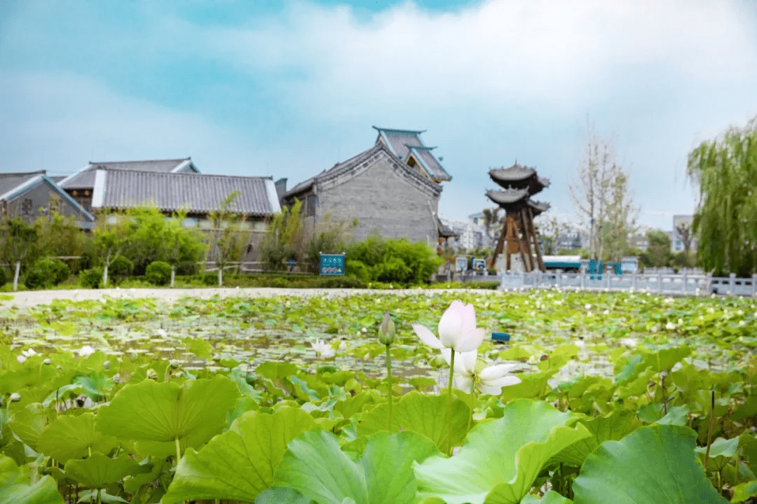 铁锅|跟着央视镜头打卡！古风美食街、神秘地道…济南这个村子不一般！