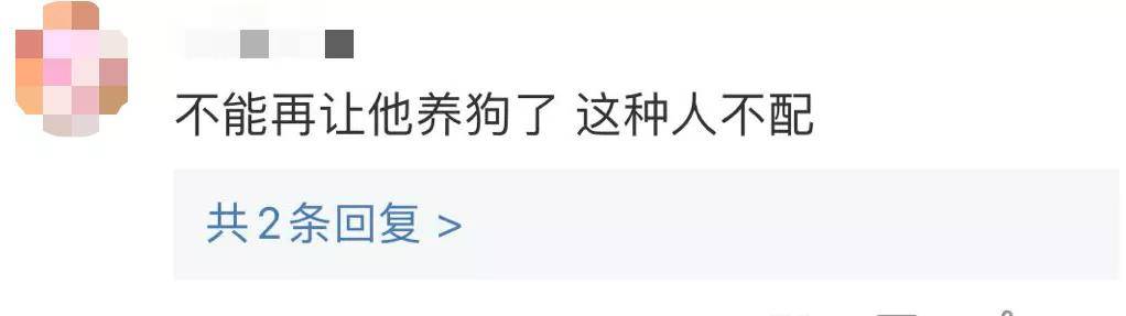 处理结果|洗衣机小柯基找到了!但处理结果……