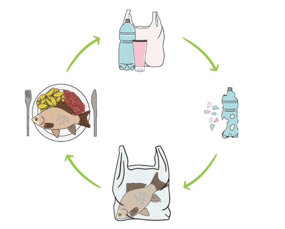 自然界存在的有毒有害物质,包括多氯联苯,双酚a等都可能被吸附在微