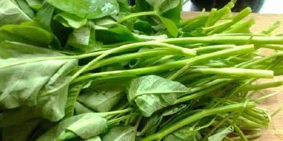 麦麸|这些食物是“吸糖王”,糖尿病患者多吃点,身体会悄悄发生变化