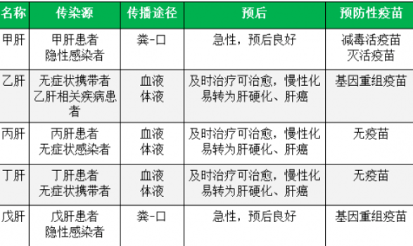 肝炎的传播途径 甲肝和戊肝主要经消化道传播,水源或食物被污染可引起