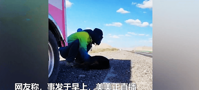 1人1车2狗，22岁女网红徒步西藏意外死亡，警方：助力车失控碾压