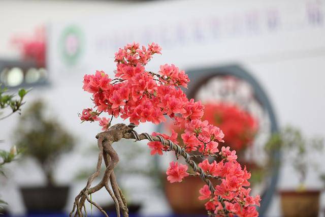 奈元|這世上，有一種距離，無法逾越