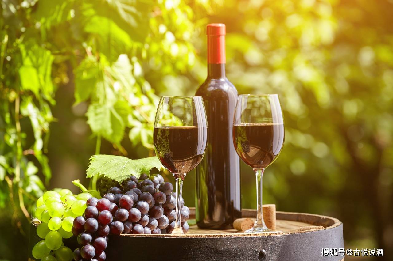 人体|都说葡萄酒好 但具体是哪些好？葡萄酒成分有哪些？