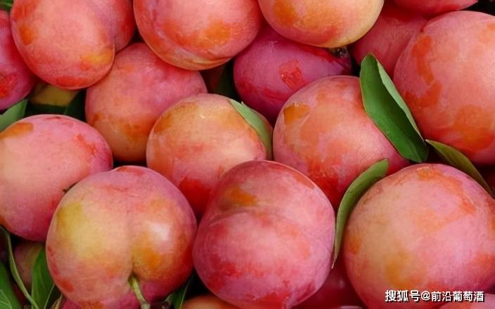 用于描述|葡萄酒常见香气分类图鉴详解,果实类香气图鉴、特点及品鉴方法