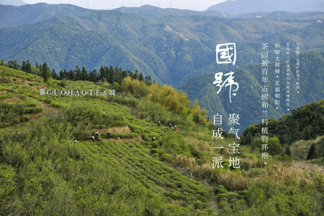 国号|中秋福利:大洋轻岚超值大礼盒