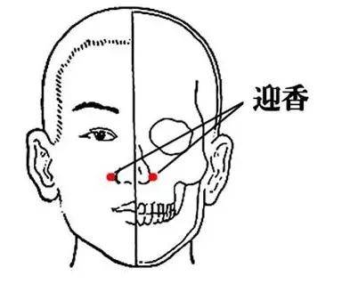 c43736cd53b04fb3b6b152d7ade8a384.jpeg