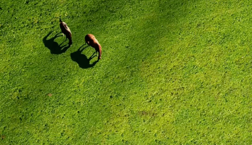 天气|小白心里软——秋季零食MARK起来,越吃越上头