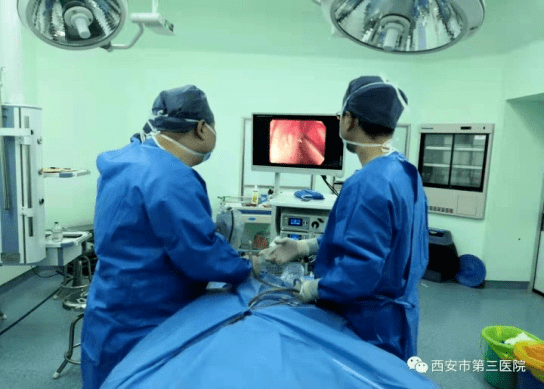 功能|小贴士 ▏鼻内镜手术后注意事项